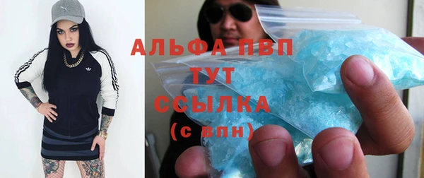 бошки Ладушкин