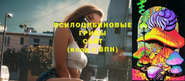 бошки Ладушкин