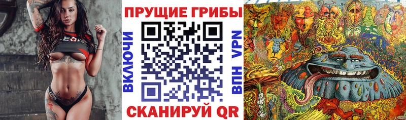 Псилоцибиновые грибы мухоморы где можно купить Сусуман